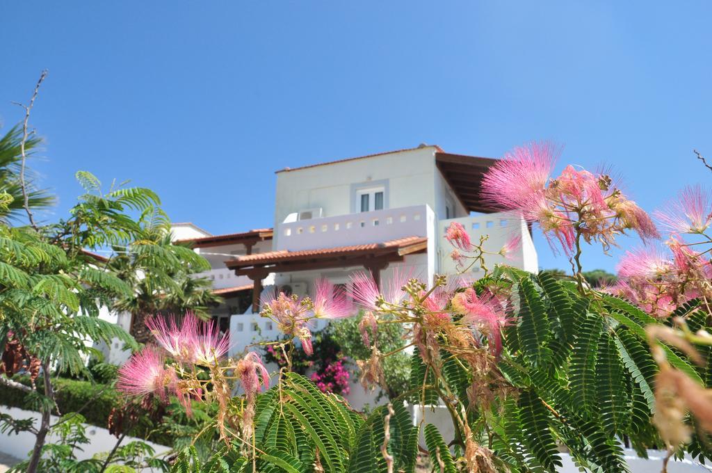 Castri Village Hotel Palekastro Dış mekan fotoğraf