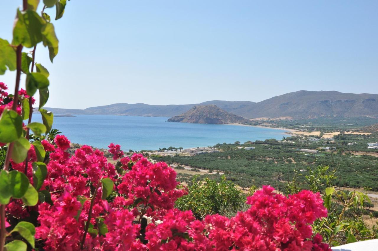 Castri Village Hotel Palekastro Dış mekan fotoğraf