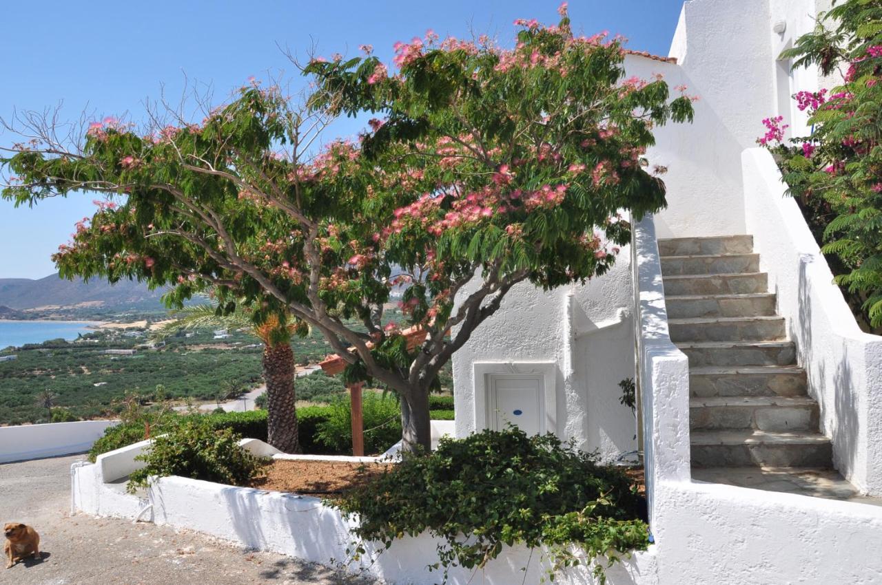 Castri Village Hotel Palekastro Dış mekan fotoğraf