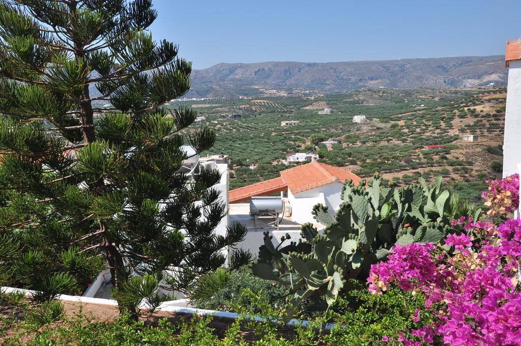 Castri Village Hotel Palekastro Dış mekan fotoğraf