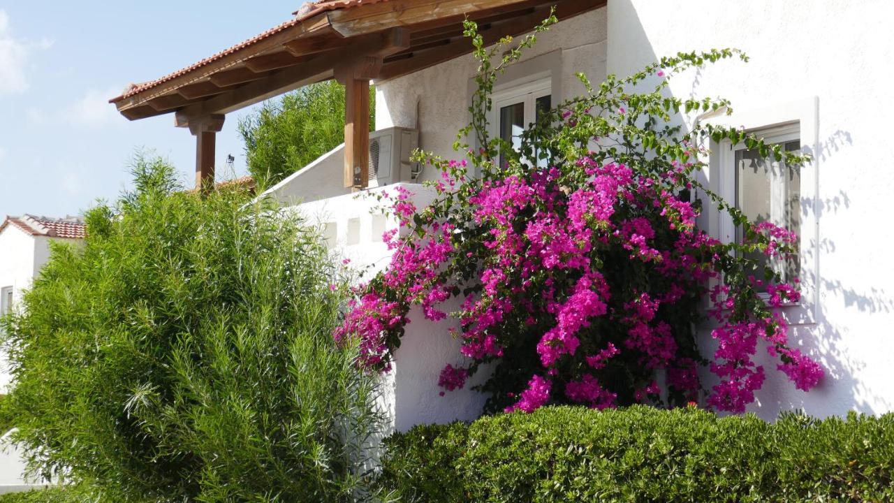 Castri Village Hotel Palekastro Dış mekan fotoğraf